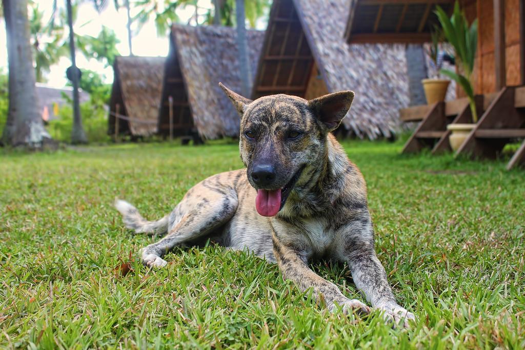 Archery-Asia Nipa Huts โมอัลโบอัล ภายนอก รูปภาพ